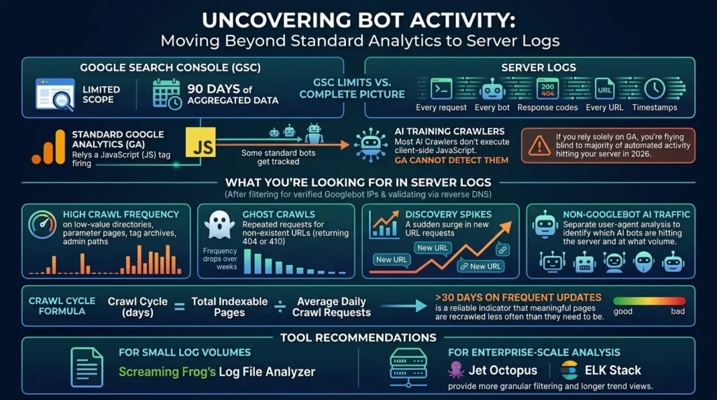 Server logs for bot traffic